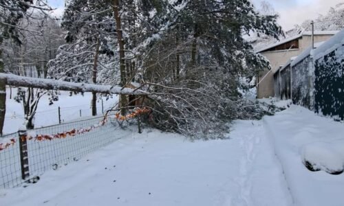 Mesto Košice: Vážení návštevníci, ZOO je dnes z technických dôvodov ZATVORENÁ.