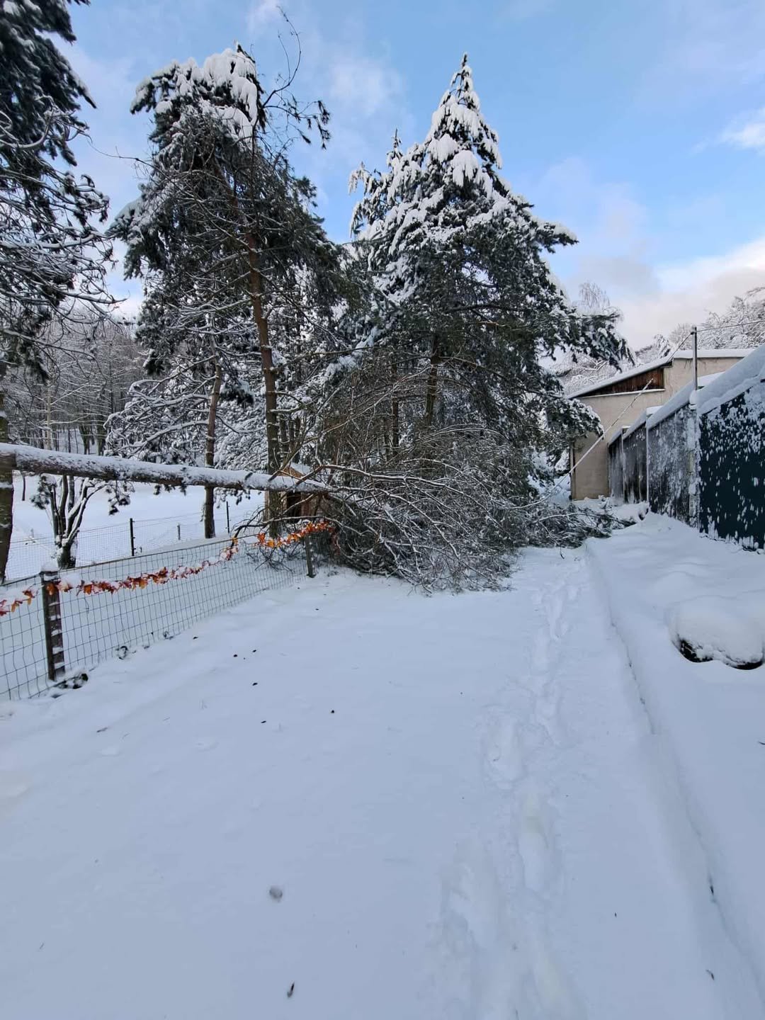 Mesto Košice: Vážení návštevníci, ZOO je dnes z technických dôvodov ZATVORENÁ.