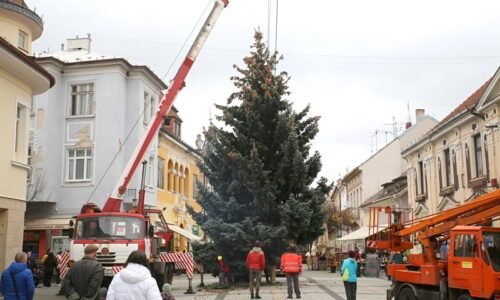 Mesto Piešťany: VIANOČNÝ STROMČEK