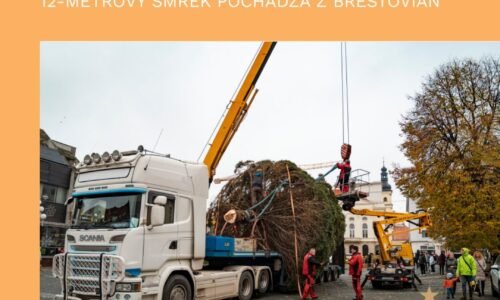 Mesto Trnava: VIANOČNÝ STROM PRÍDE V UTOROK