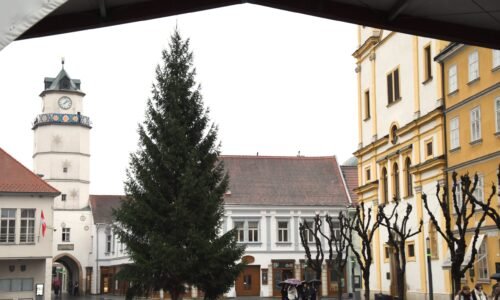 Vianočný strom už stojí na Mierovom námestí