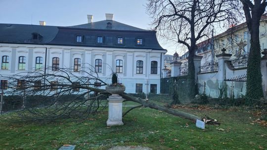 Pod oknami sídla slovenského prezidenta je spadnutý strom, ktorý zasadil Václav Klaus. Nikto ho neodstránil