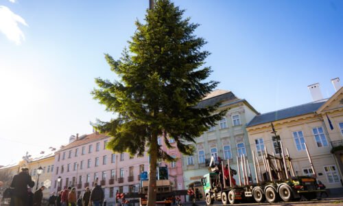 Hlavnú ulicu zdobí 16-metrová vianočná jedľa