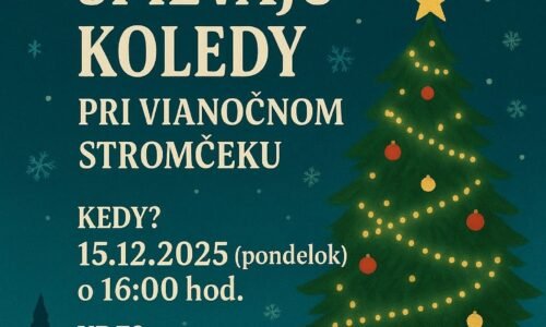 Kultúra Topoľčany: Na námestí pribudli vianočné stromčeky, ktoré môžete spolu s nami dozdobiť aj vy. Kultúra Topoľčany: Na námestí pribudli vianočné stromčeky, ktoré môžete spolu s nami dozdobiť aj vy.
