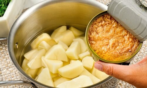 Jeder kauft Thunfisch in Dosen, nachdem er dieses Rezept gesehen hat! Köstliches Abendessen!