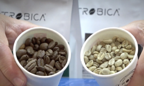 Jak poznat dobře připravené espresso? Barista vám poradí přímo z domácí pražírny