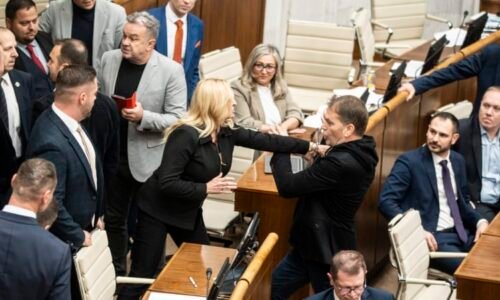 Bitka přímo ve slovenském parlamentu: Provokace, pak létaly pěsti. Expertka popsala spouštěč Bitka přímo ve slovenském parlamentu: Provokace, pak létaly pěsti. Expertka popsala spouštěč