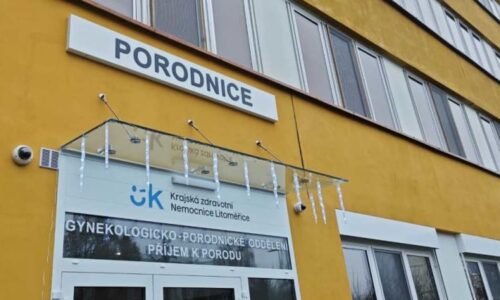 Smrt novorozenců v litoměřické nemocnici vyšetřuje policie. O život měla bojovat i rodička