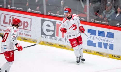 Třinec v dohrávke nedal šancu hradcu králové, hudáček sa blysol víťazným gólom