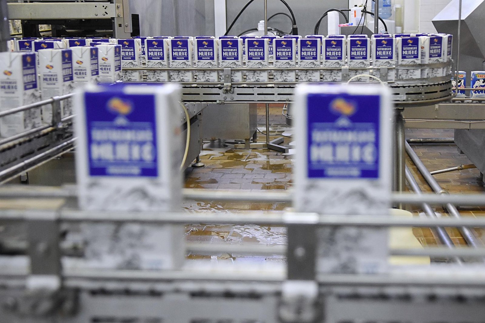 Rakúski mliekari sa sťažujú na prudký prepad cien masla Rakúski mliekari sa sťažujú na prudký prepad cien masla