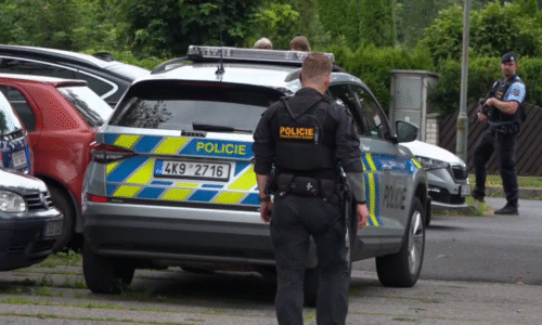 Výjimečný trest za mord družky platí. Nejvyšší soud zamítl vrahovo dovolání