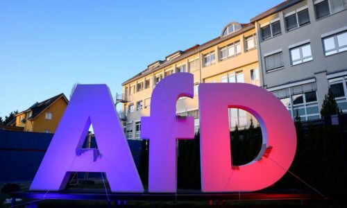 Poslanca krajne pravicovej AfD obvinili za hajlovanie