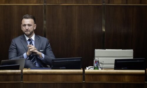 Prieskum NMS: Hlas je na historickom minime, padol na úroveň SaS a Demokratov