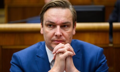 Novela Trestného zákona podľa progresívcov nebude stačiť na riešenie nárastu kriminality