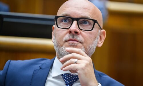 Gröhling avizuje nové posily, do strany vstúpia i viacerí členovia klubu SaS