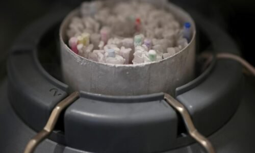 Darca spermií s génom spôsobujúcim rakovinu splodil v Európe dvesto detí, niektoré už zomreli Darca spermií s génom spôsobujúcim rakovinu splodil v Európe dvesto detí, niektoré už zomreli