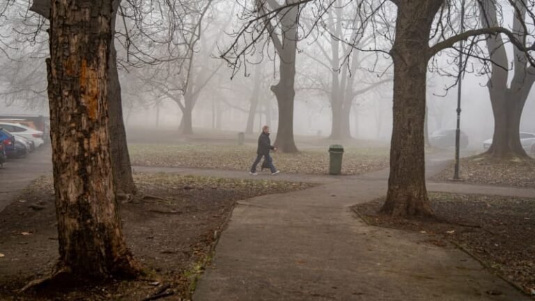 Radar: začíná týden inverze, od sněhu si odpočineme. podívejte se, jak bude u vás