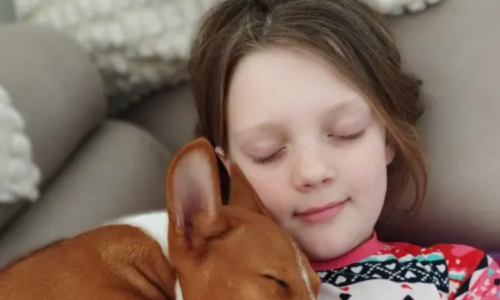 Billinka znovu bojuje o život: Dvouletá fenečka i její rodina potřebují pomoc Billinka znovu bojuje o život: Dvouletá fenečka i její rodina potřebují pomoc