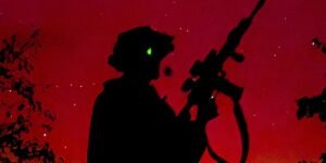 Arms Trends in Ukraine: 24 November