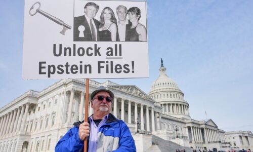 Survivors, Senate Democrats request audit of Epstein files before release Survivors, Senate Democrats request audit of Epstein files before release