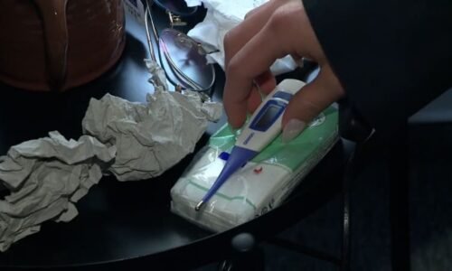 S virózou zatočí i to, co máme běžně v kuchyni. Po čem sáhnout při nachlazení?