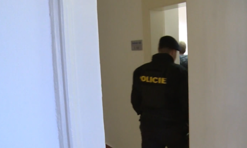 Řádění recidivisty v Hradci: Ničil vánoční výzdobu a vyhrožoval policistům. U soudu hajloval