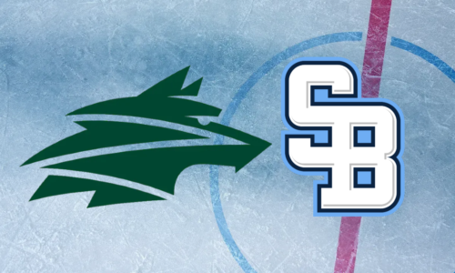 Pozrite si highlighty zo zápasu vlci žilina - hc slovan bratislava