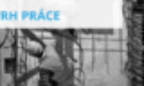 Mzdy korigovali predchádzajúci rekordný rast (flash)