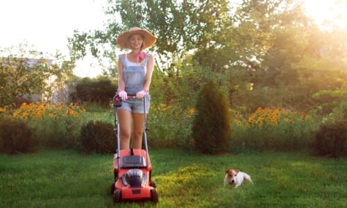 Bola tohtoročná sezóna pre vašu kosačku posledná? Ako si vybrať novú
