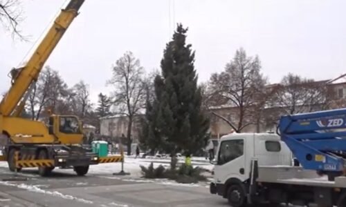 Vianočný stromček už stojí Vianočný stromček už stojí