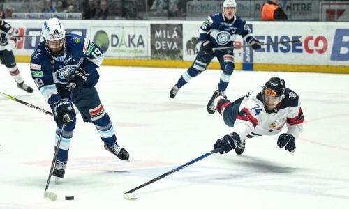 Chrenkove veci po ceste z MS zablúdili, no už hral za Nitru. Spustil ostrú kritiku do vlastných radov