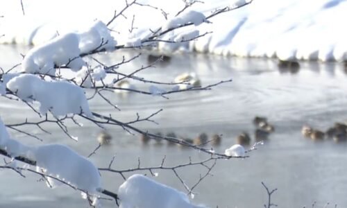 Nová VÝSTRAHA před mrazy: Mapa ukazuje krizová místa Česka. Hrozí omrzliny