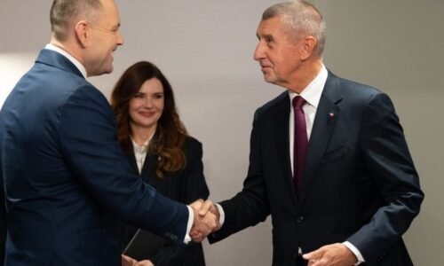 Úspešný rok pre pravicových kritikov Európy