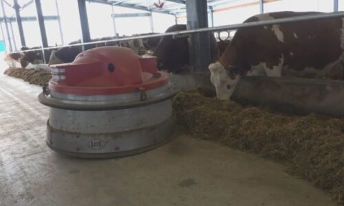 Slunce, seno, roboti. Krávy si na vodních matracích užívají jak v lázních, řídí je automaty