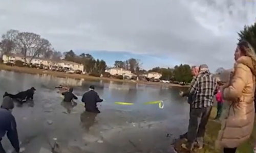 Dramatické záběry záchrany malého chlapce z ledového rybníku v USA. Policisté dostali ocenění