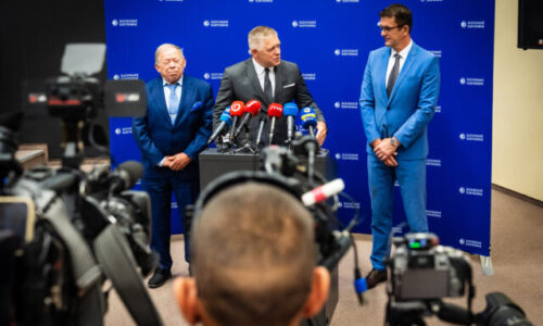 Top foto dňa (17. august 2026): Domáca politika, umelecká inštalácia, trh rodinných domov a Deň psov