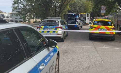 Nové detaily vraždy na cyklostezce: Muž zavraždil manželku před zraky svých dětí