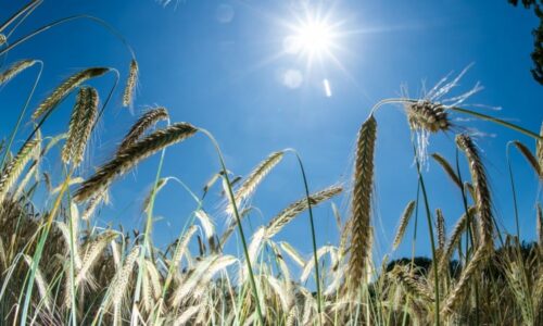 Přijde i závažnější sucho, varuje klimatolog. Problém nevyřešíme, jen mírníme následky