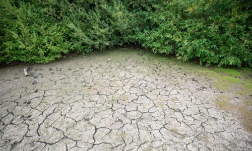 Sucho je letos v Česku rekordní. Třetině země chybí vláha od začátku roku, hlásí Intersucho