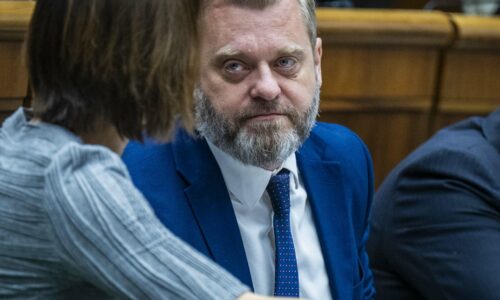Politika vlády na všetky svetové strany je blud. Vzťahy s Nemeckom sa začínajú zhoršovať, tvrdí SaS