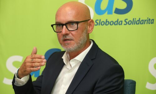 SaS pôjde do volieb samostatne, tvrdí Gröhling. Progresívci majú podľa neho zachrániť Demokratov (rozhovor)