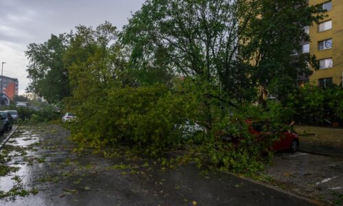 Štvrtková búrka zasiahla celý Ružinov, najsilnejšie Vlčie hrdlo