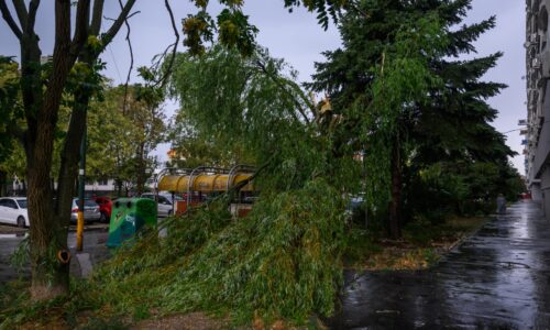 V bratislavskej Vrakuni odstraňujú škody po štvrtkovej búrke