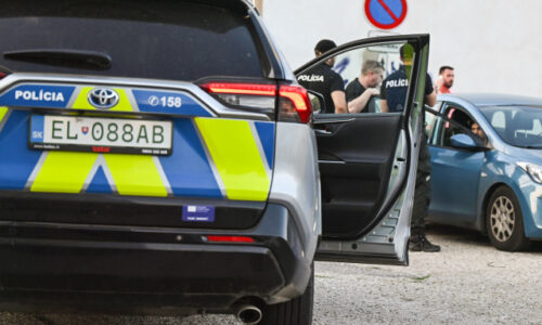 Bratovi a matke sa vyhrážal smrťou. Trenčana polícia obvinila